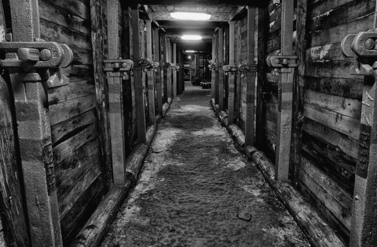 Csaba Bajko - Mine